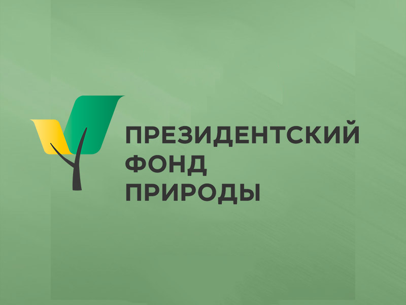 О подготовке заявок на участие в конкурсе на предоставление грантов Президента РФ на реализацию экологических и природоохранных проектов.