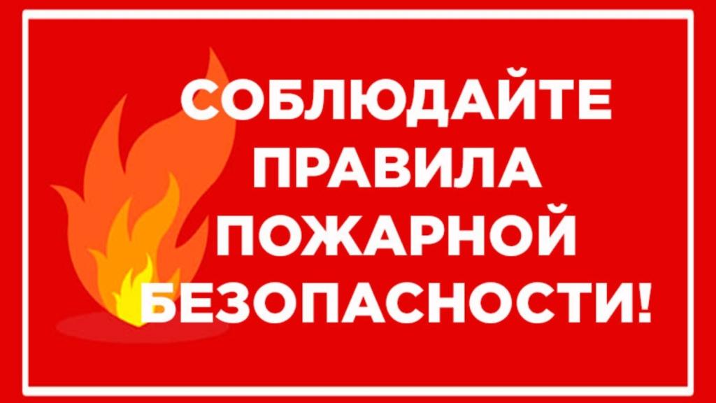 Поджог – это умышленное уничтожение имущества, лесных и иных насаждений.