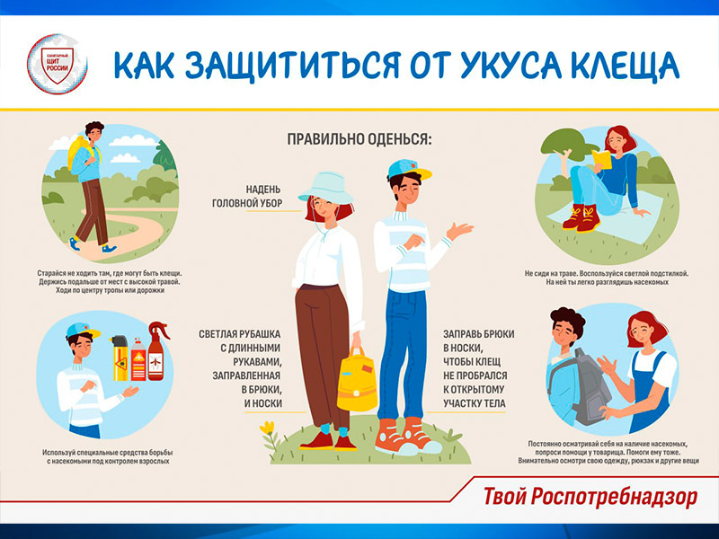 Меры специфической профилактики клещевого вирусного энцефалита.
