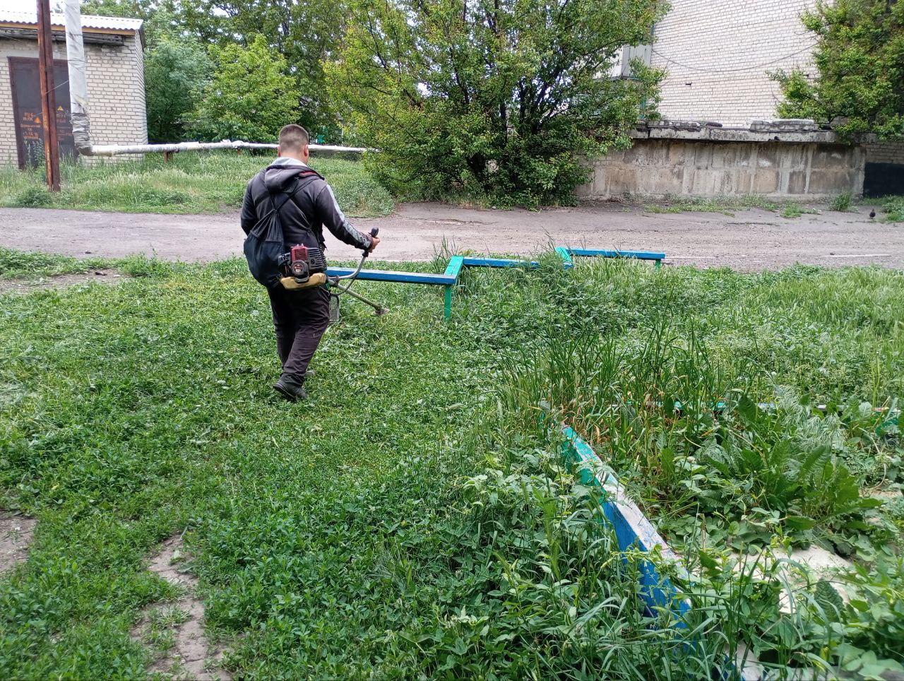На территории городского округа Дебальцево продолжаются работы покосу сорных и карантинных трав.