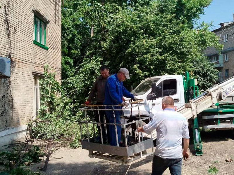 Хабаровский край проводит обрезку деревьев в Дебальцево.