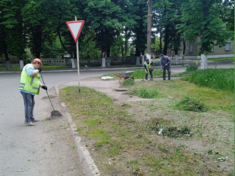 Покос и уборка карантинных и сорных растений. Покос и уборка карантинных и сорных растений.