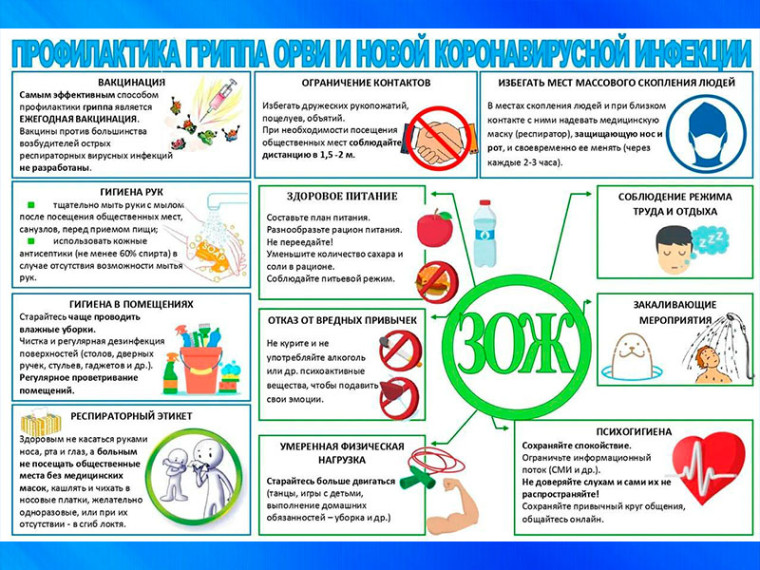 Профилактика гриппа и орви. Профилактика гриппа и орви.