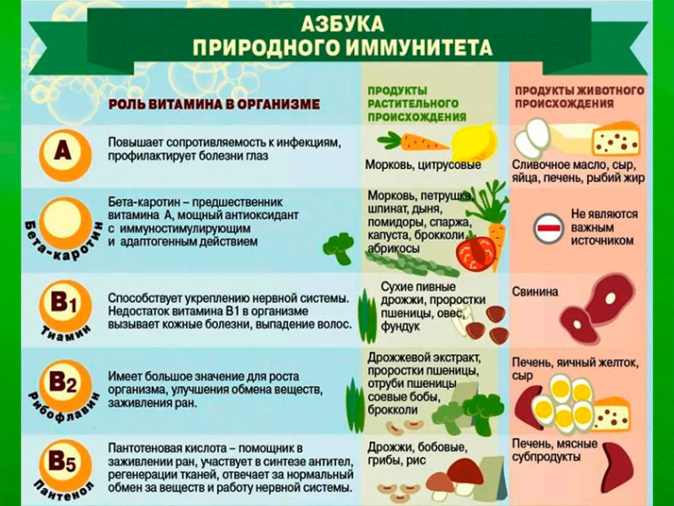 Азбука природного иммунитета. Азбука природного иммунитета.