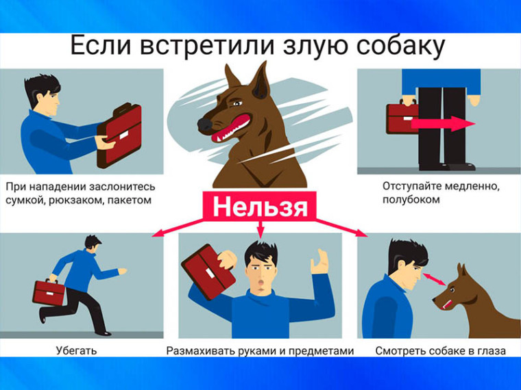 Если встретили злую собаку. Если встретили злую собаку.