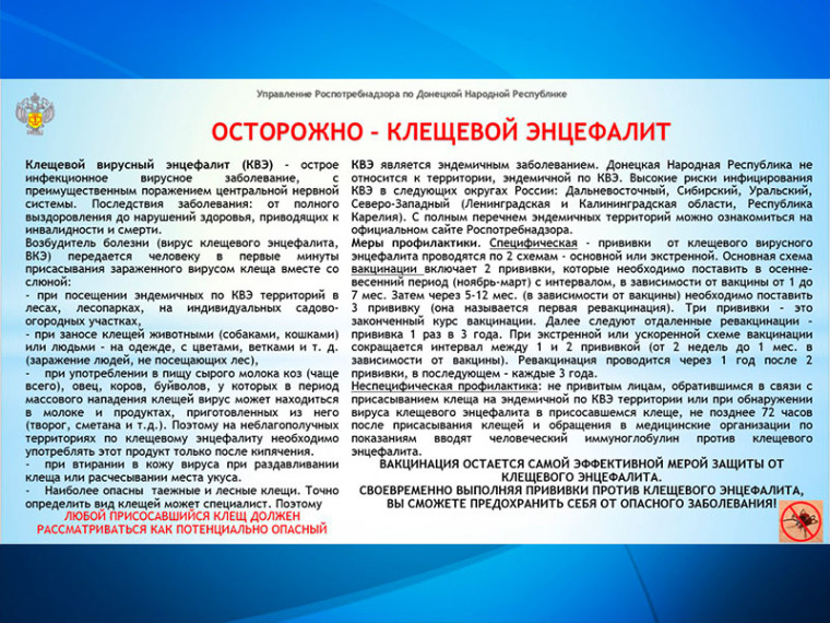 Клещевой вирусный энцефалит. Клещевой вирусный энцефалит.