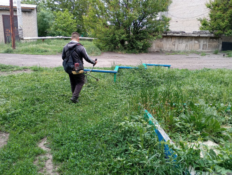 На территории городского округа Дебальцево продолжаются работы покосу сорных и карантинных трав. На территории городского округа Дебальцево продолжаются работы покосу сорных и карантинных трав.
