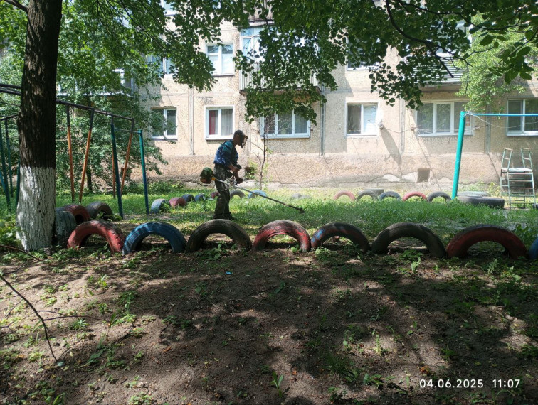 На территории городского округа Дебальцево продолжаются работы покосу сорных и карантинных трав. На территории городского округа Дебальцево продолжаются работы покосу сорных и карантинных трав.