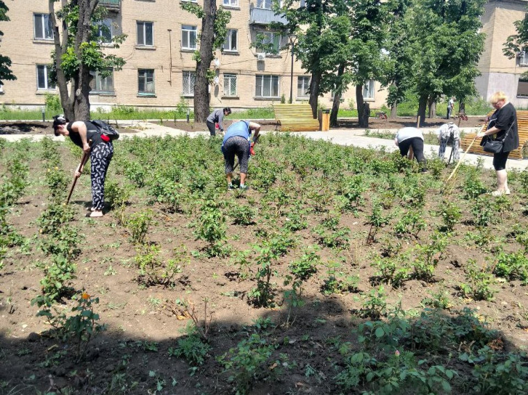 «Экологический субботник». «Экологический субботник».